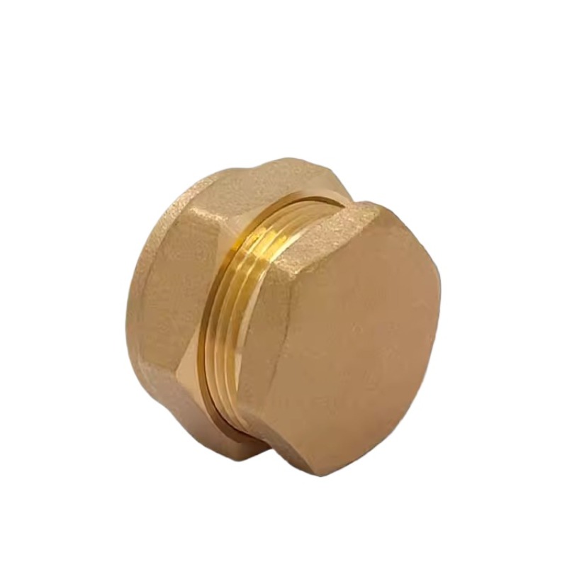 Brass Card sleeve plug 15 16 2 - Compression Fitting Brass avis et prix